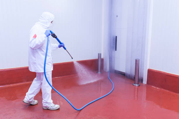 Best Building Exterior Washing  in Banks, OR